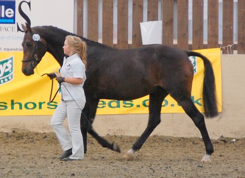 DeLaRoche Brilliant Cut