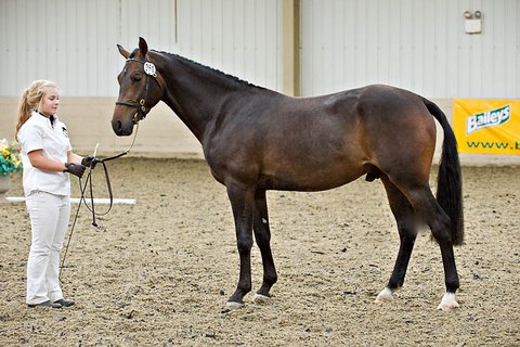 DeLaRoche Brilliant Cut