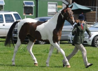 DeLaRoche Clearly Famous